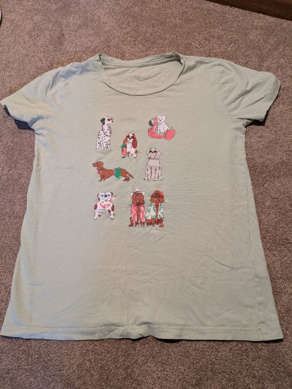 100% cotton J. Crew Light Green Tshirt with Dog Print size xsmall